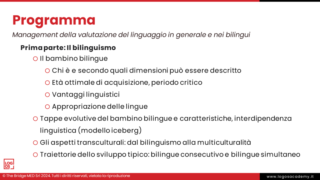 AMVL_PROGRAMMA (1)